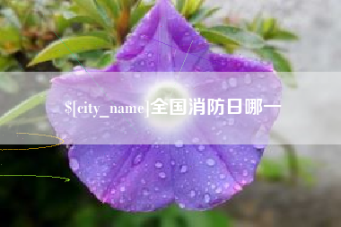 伊春全国消防日哪一