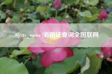 伊春消防证查询全国联网