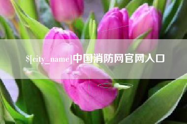 伊春中国消防网官网入口