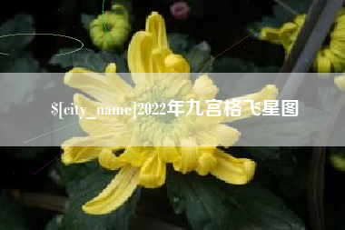 伊春2022年九宫格飞星图