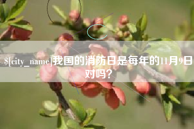 伊春我国的消防日是每年的11月9日对吗？