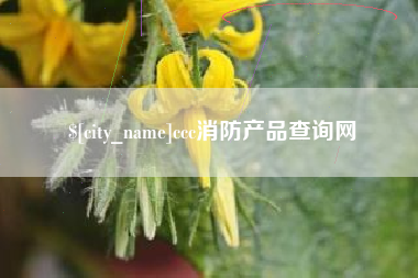 伊春ccc消防产品查询网