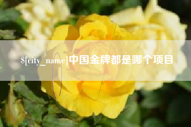 伊春中国金牌都是哪个项目