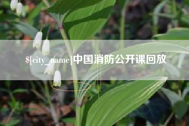 伊春中国消防公开课回放