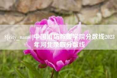伊春中国消防救援学院分数线2023年河北录取分数线
