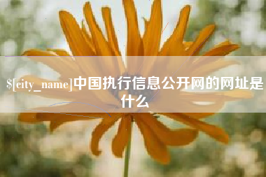 伊春中国执行信息公开网的网址是什么