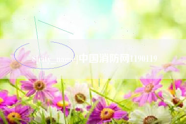 伊春中国消防网1190119