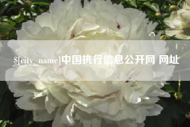 伊春中国执行信息公开网 网址