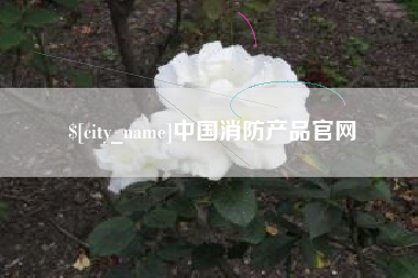 伊春中国消防产品官网