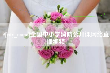 伊春全国中小学消防公开课网络直播视频
