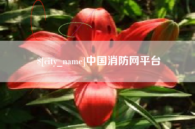 伊春中国消防网平台