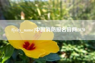 伊春中国消防报名官网2020