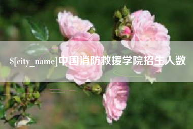 伊春中国消防救援学院招生人数