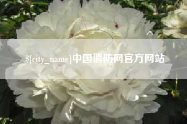 伊春中国消防网官方网站
