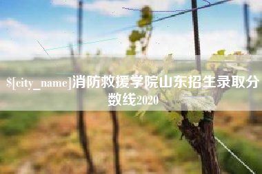 伊春消防救援学院山东招生录取分数线2020