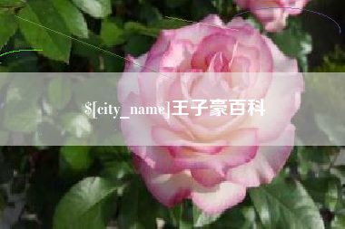 伊春王子豪百科
