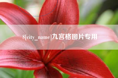 伊春九宫格图片专用