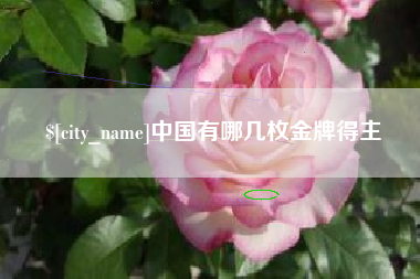 伊春中国有哪几枚金牌得主