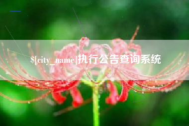 伊春执行公告查询系统