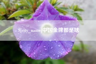 伊春中国金牌都是啥