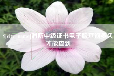 伊春消防中级证书电子版查询多久才能查到