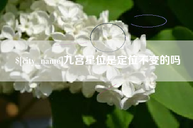 伊春九宫星位是定位不变的吗