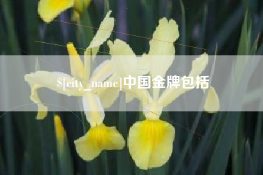 伊春中国金牌包括
