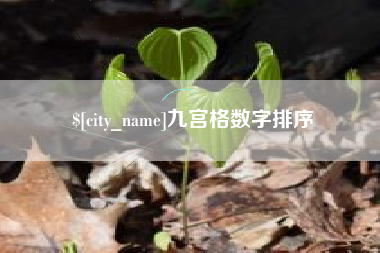 伊春九宫格数字排序