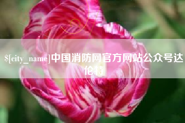 伊春中国消防网官方网站公众号达伦特