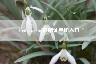 伊春消防证查询入口