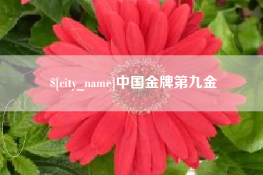 伊春中国金牌第九金