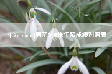 伊春男子5000米年龄成绩对照表