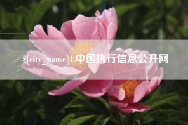 伊春1.中国执行信息公开网