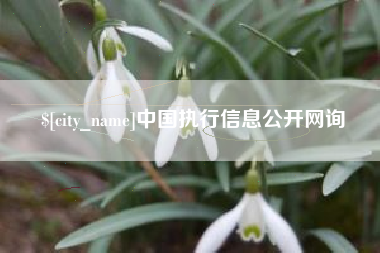 伊春中国执行信息公开网询