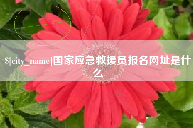 伊春国家应急救援员报名网址是什么