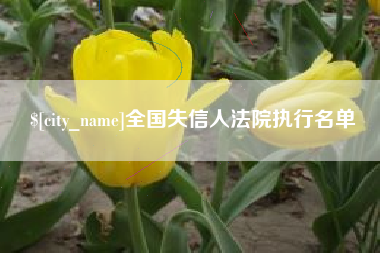 伊春全国失信人法院执行名单