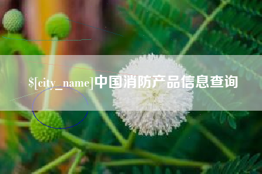 伊春中国消防产品信息查询