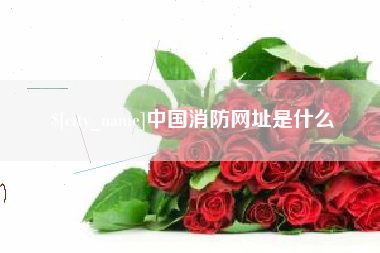 伊春中国消防网址是什么