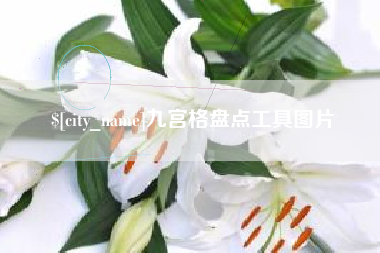 伊春九宫格盘点工具图片