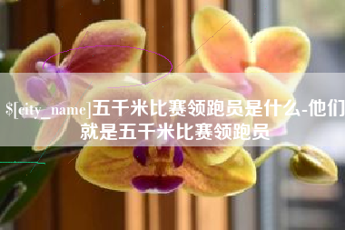 伊春五千米比赛领跑员是什么-他们就是五千米比赛领跑员