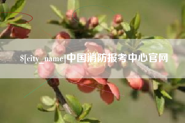 伊春中国消防报考中心官网