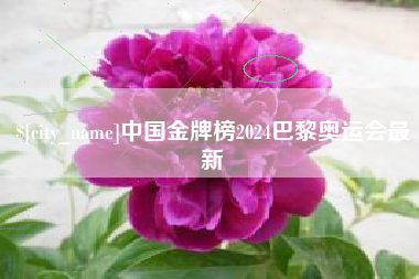 伊春中国金牌榜2024巴黎奥运会最新