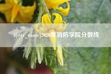 伊春2020年消防学院分数线