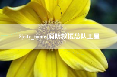 伊春消防救援总队王星
