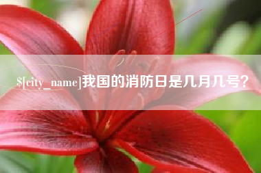 伊春我国的消防日是几月几号？