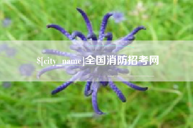 伊春全国消防招考网