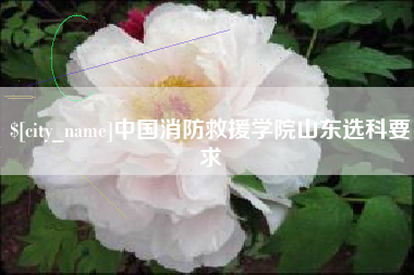 伊春中国消防救援学院山东选科要求