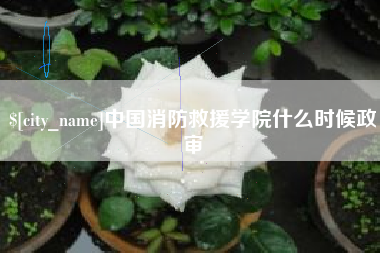 伊春中国消防救援学院什么时候政审