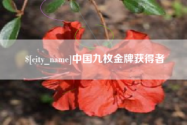 伊春中国九枚金牌获得者