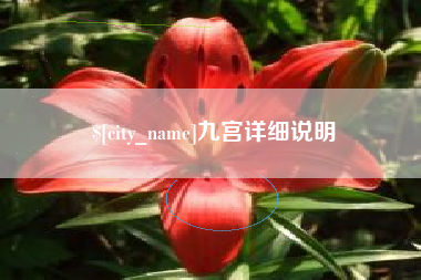 伊春九宫详细说明
